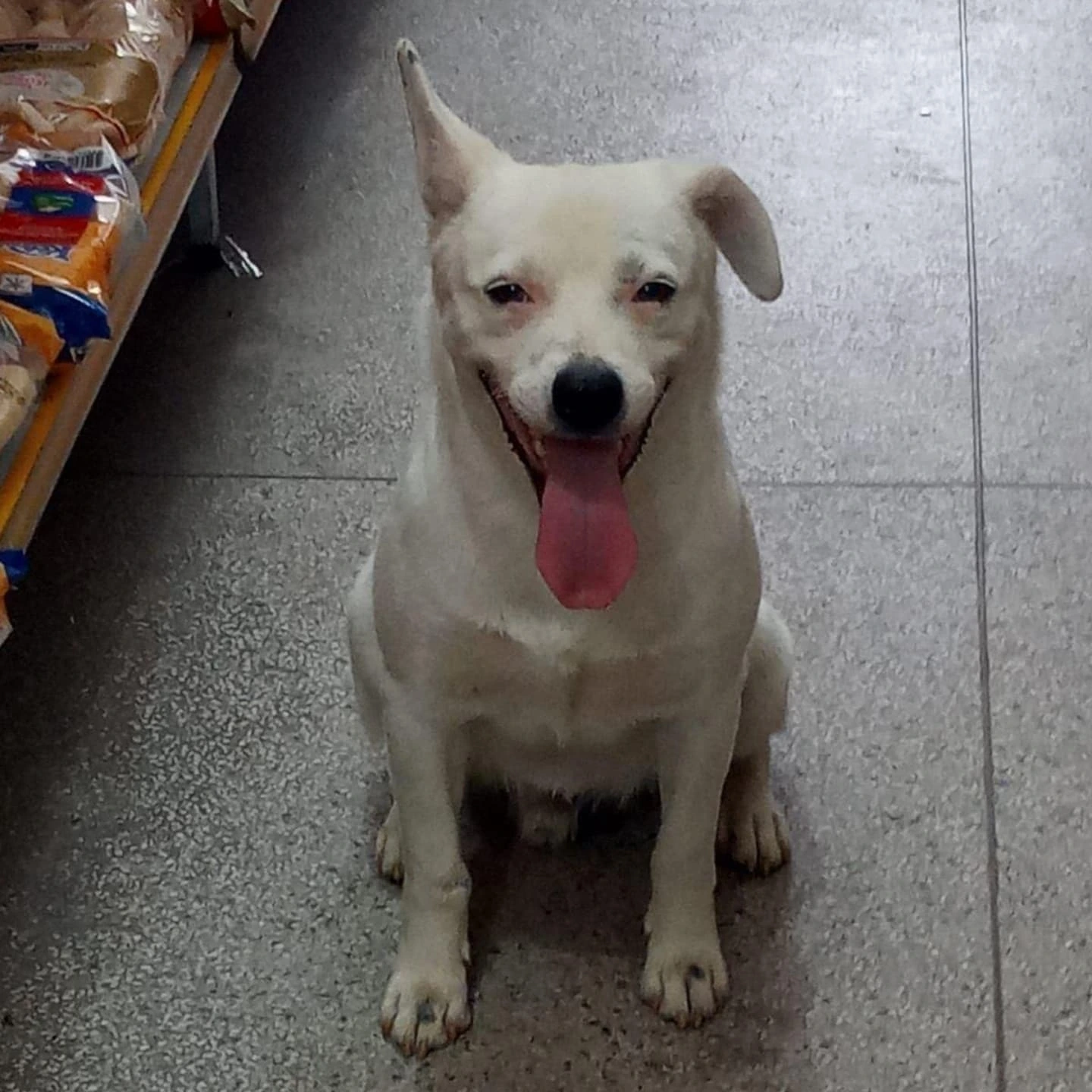Foto do Branco